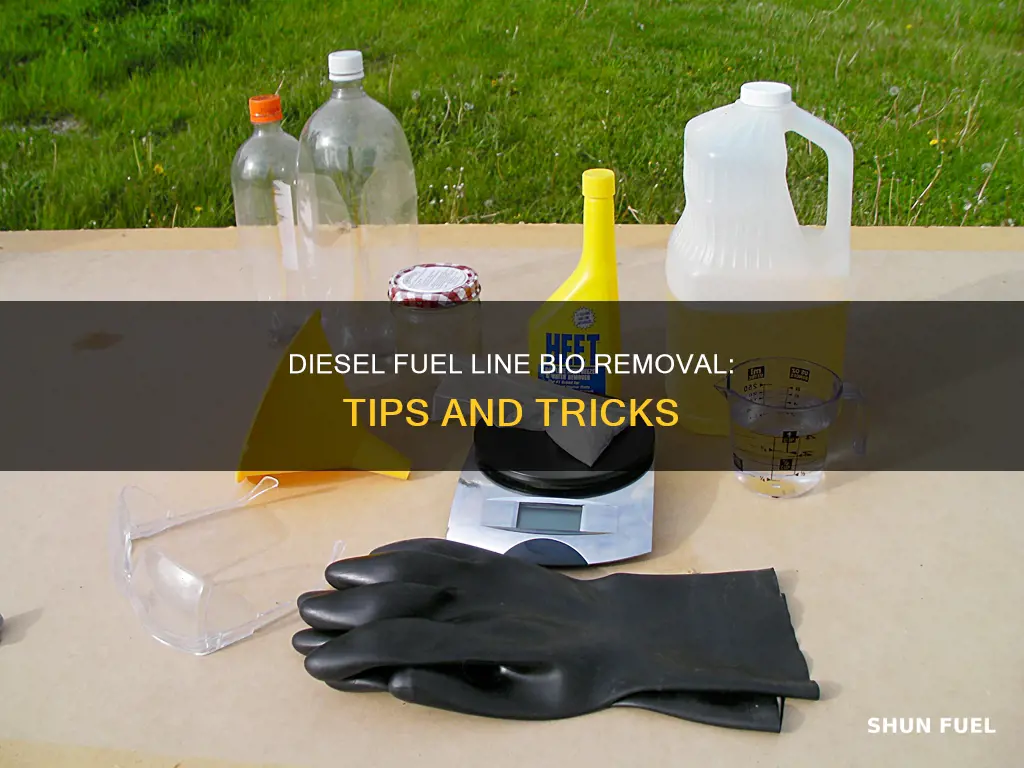 how to remove bio from diesel fuel line