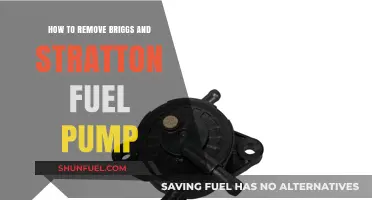Step-by-Step Guide: Removing a Briggs and Stratton Fuel Pump Easily