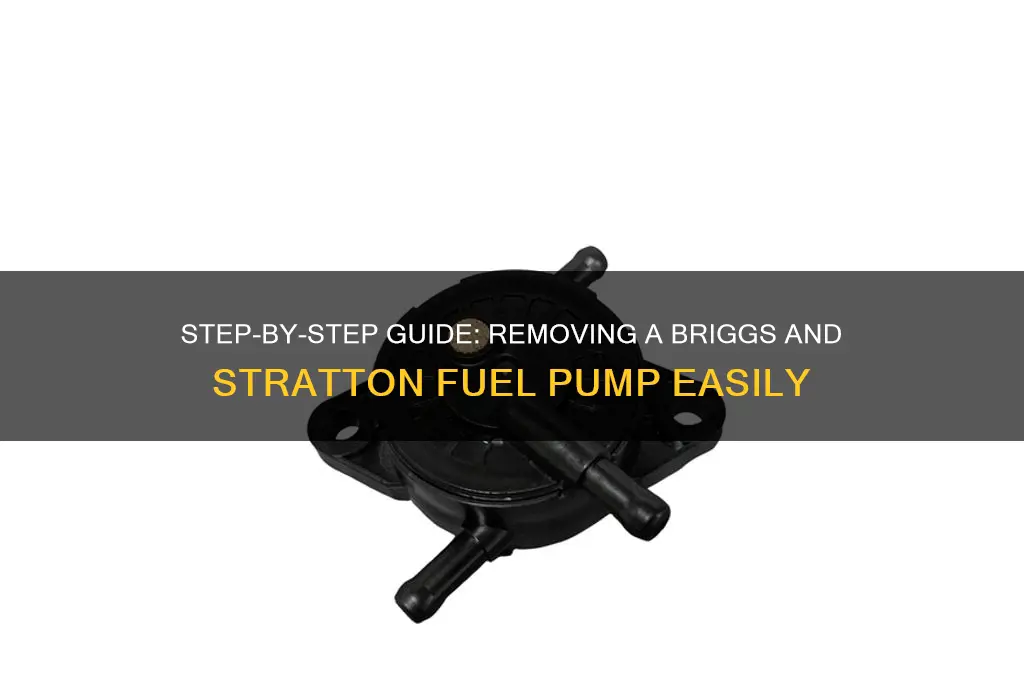 how to remove briggs and stratton fuel pump