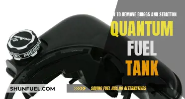 Removing Briggs and Stratton Quantum Fuel Tank: Easy Steps