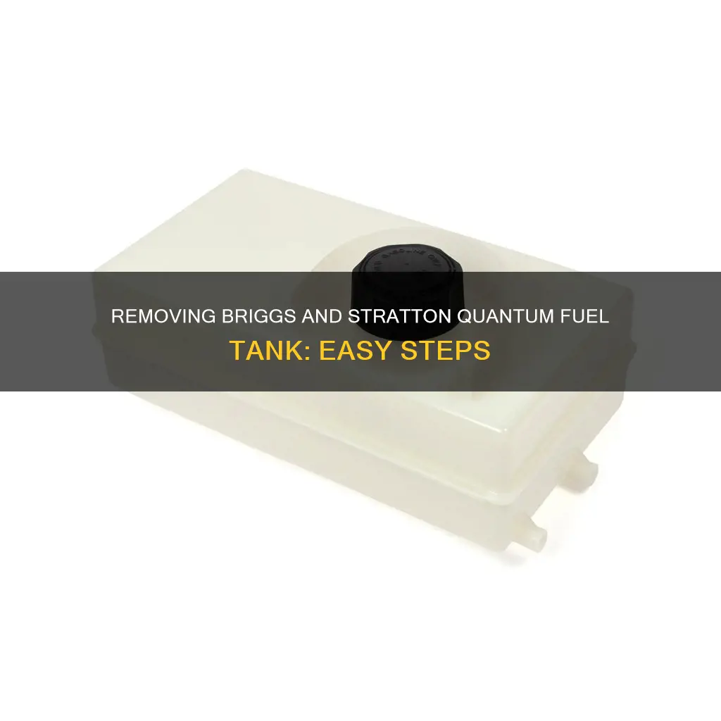 how to remove briggs and stratton quantum fuel tank