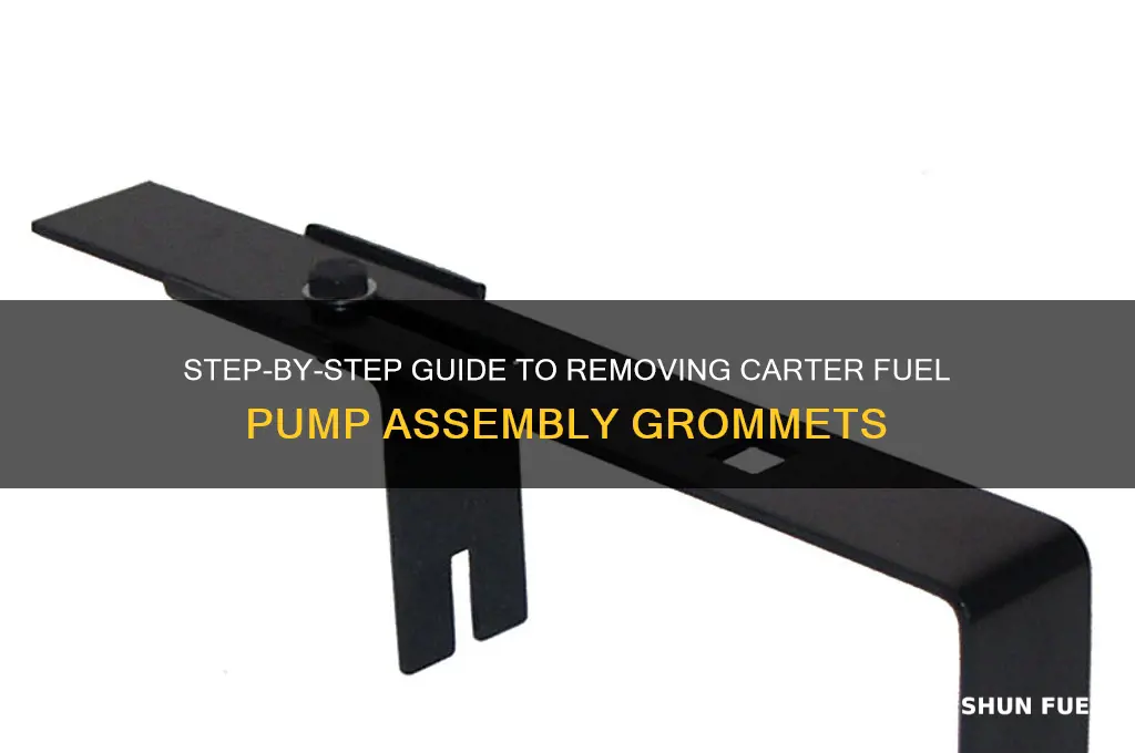 how to remove carter fuel pump assembly grommets