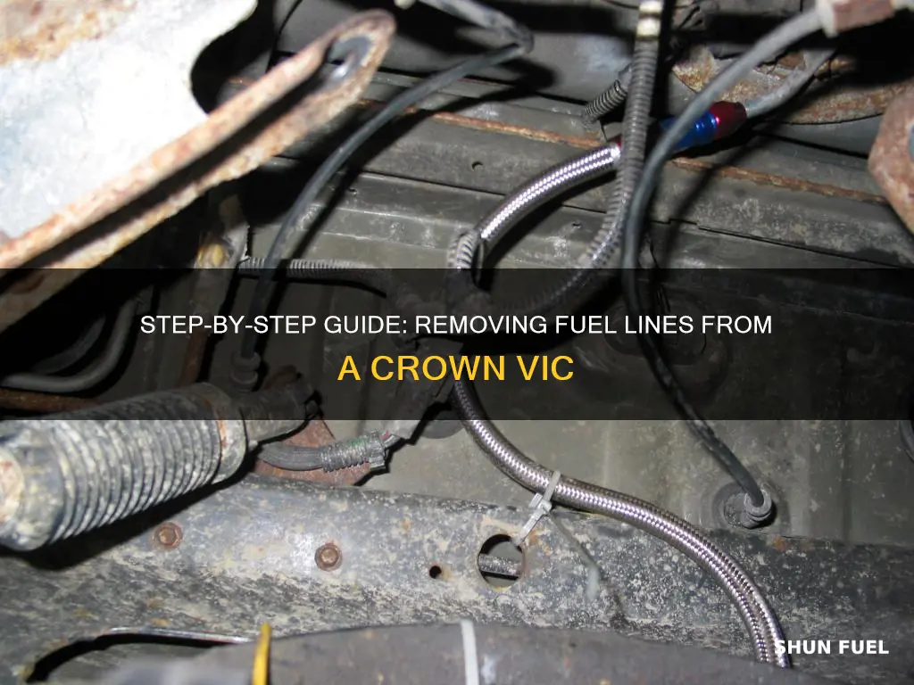 how to remove crown vic fuel lines