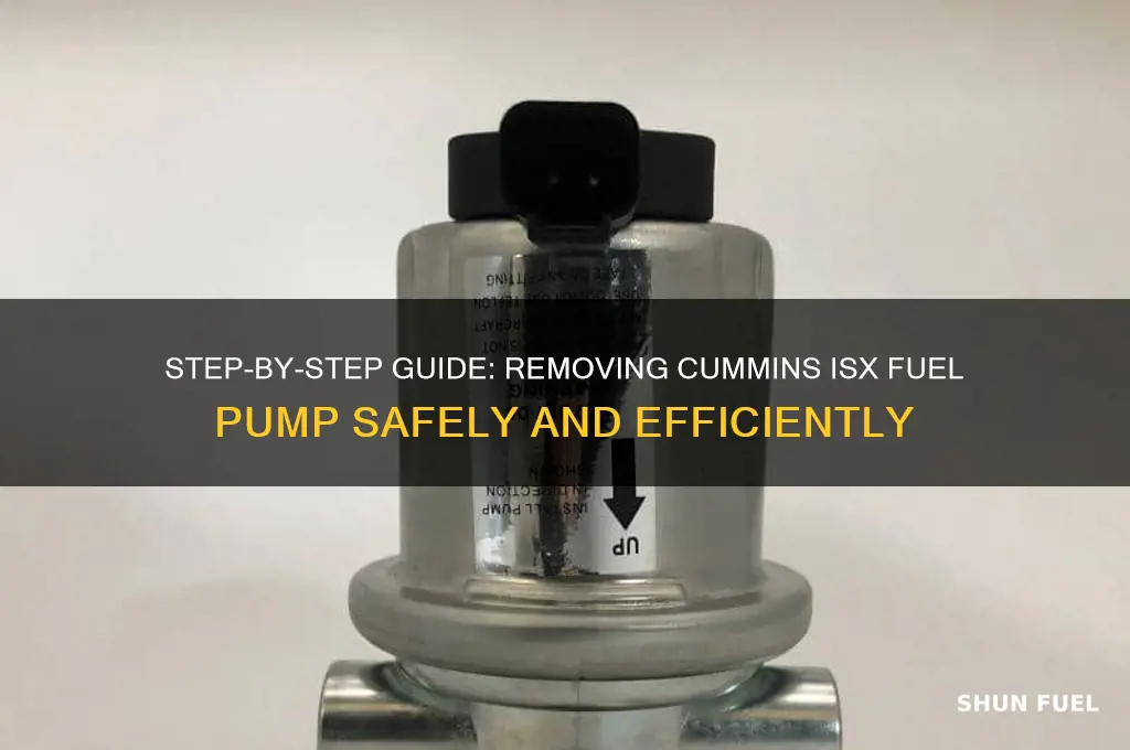 how to remove cummins isx fuel pump
