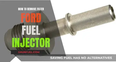 Removing Ford Fuel Injector Filters: A Step-by-Step Guide