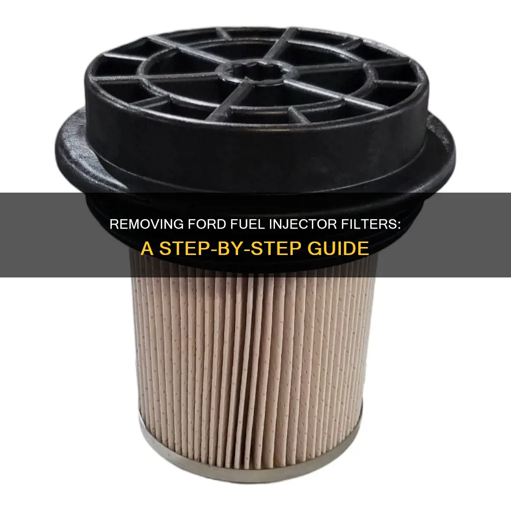 how to remove filter ford fuel injector