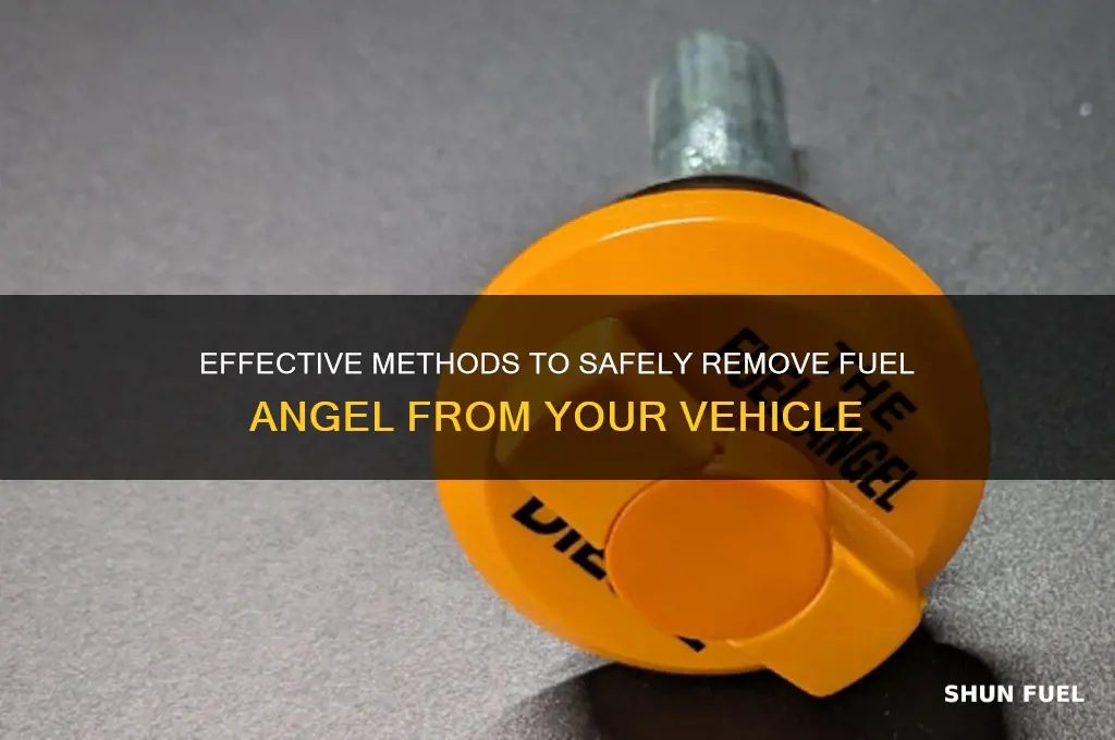 how to remove fuel angel