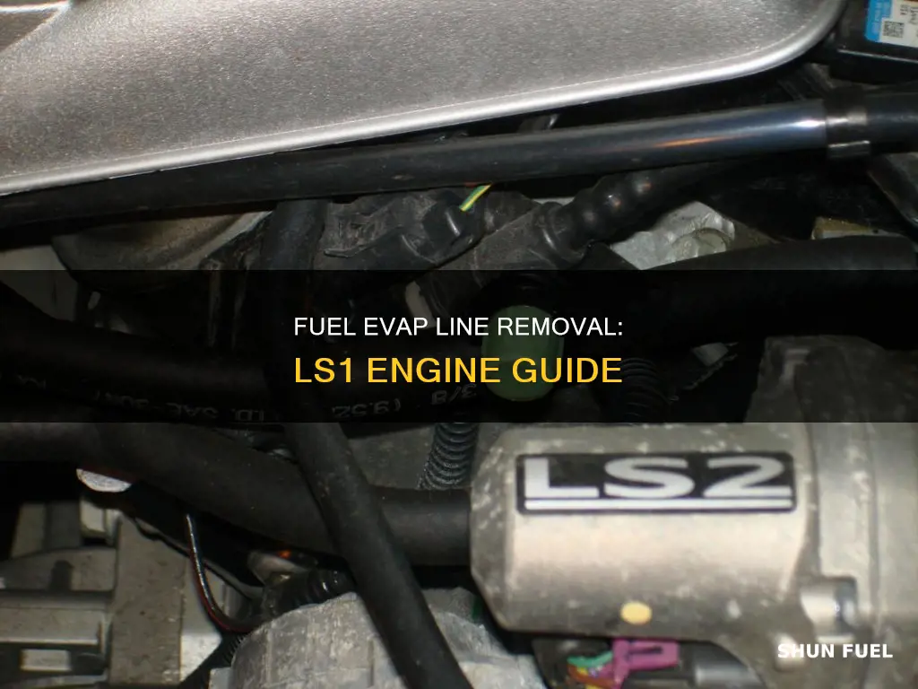 how to remove fuel evap line ls1