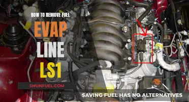 Removing the Fuel Evap Line: LS1 Engine Guide