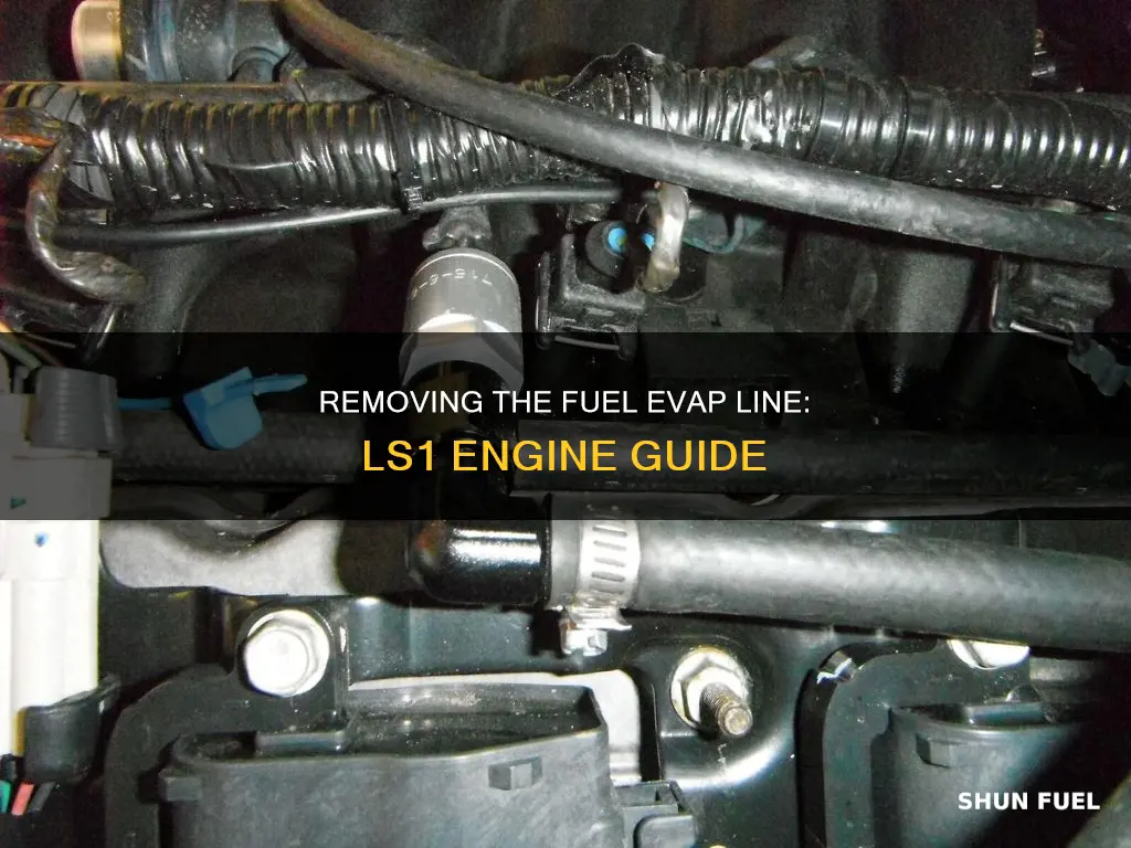 how to remove fuel evap line ls1