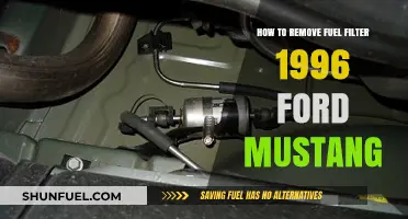 Removing Fuel Filter: 1996 Ford Mustang