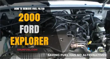 Exploring Ford Explorer: Removing Fuel Filter