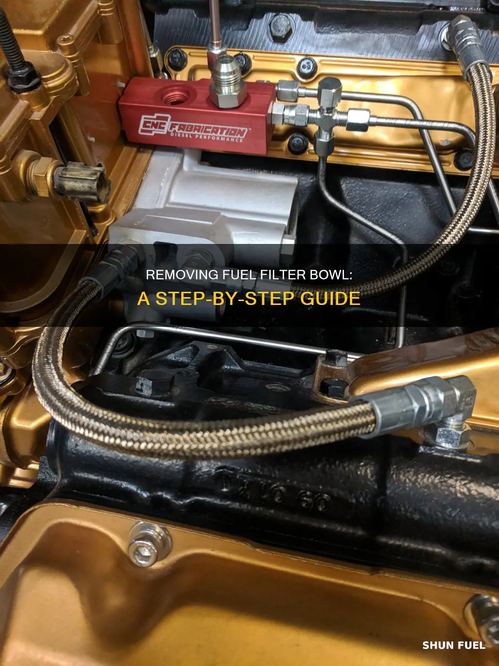 how to remove fuel filter bbowl