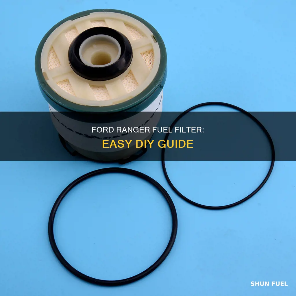 how to remove fuel filter ford ranger