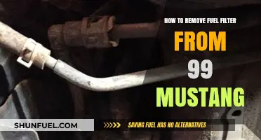Mustang Fuel Filter: Removing the 99 Model's Filter