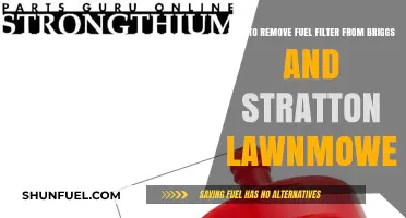 Removing Fuel Filter: Briggs & Stratton Lawnmower Maintenance