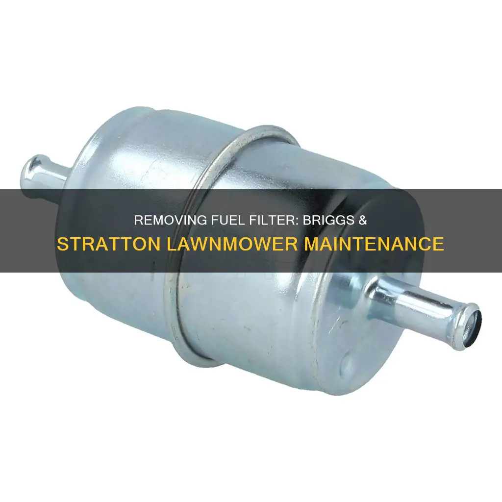 how to remove fuel filter from briggs and stratton lawnmower