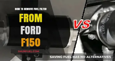 Removing Fuel Filter from Ford F150: Step-by-Step Guide
