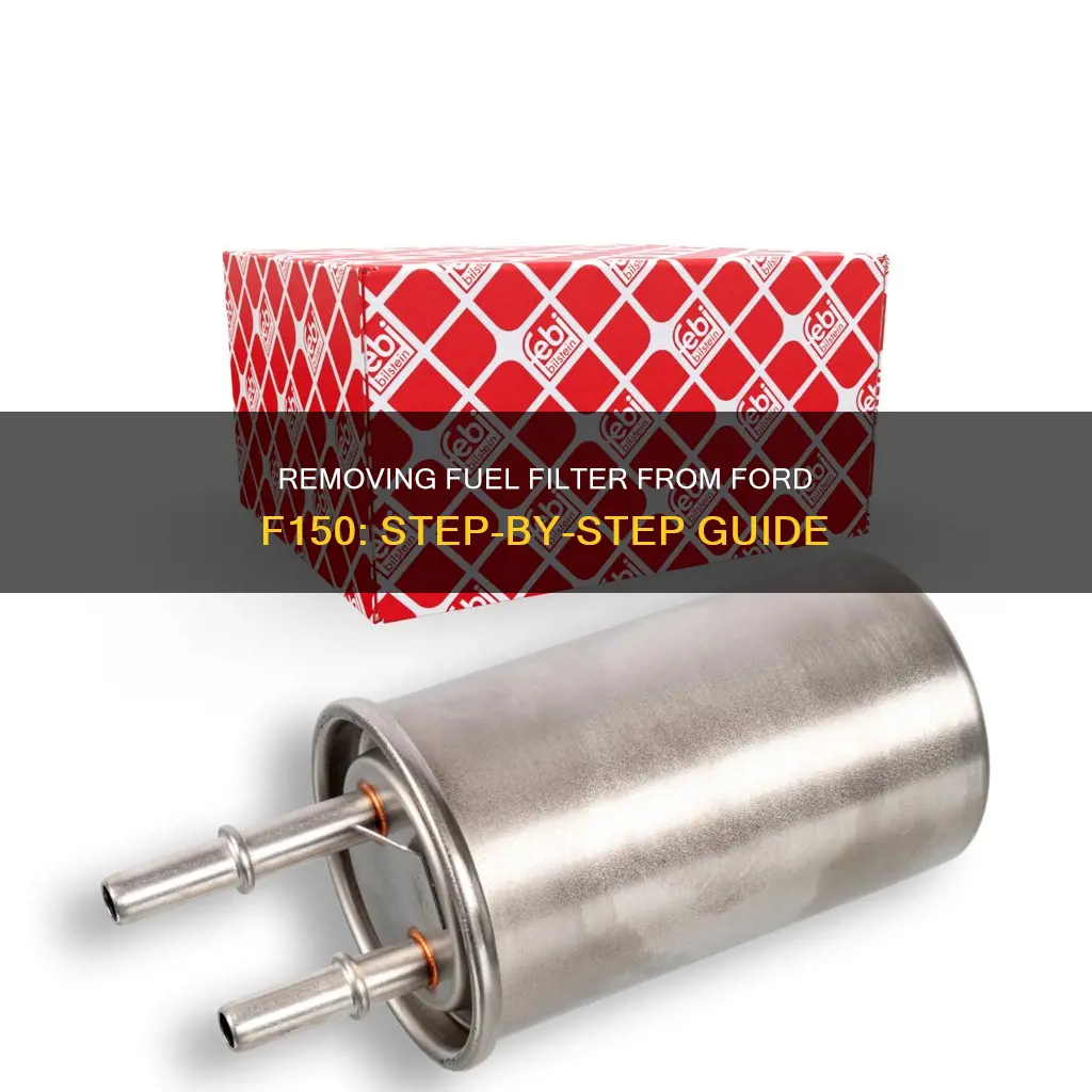 how to remove fuel filter from ford f150