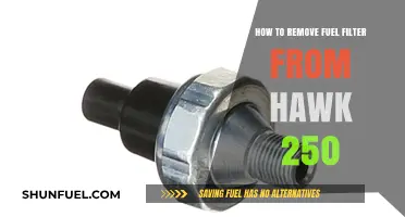 Removing the Fuel Filter on Your Hawk 250: A Step-by-Step Guide
