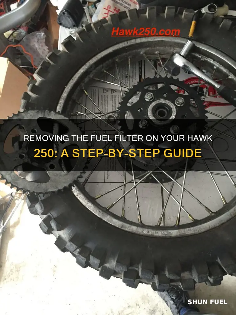 how to remove fuel filter from hawk 250