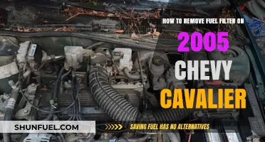 Changing Fuel Filter: 2005 Chevy Cavalier Guide