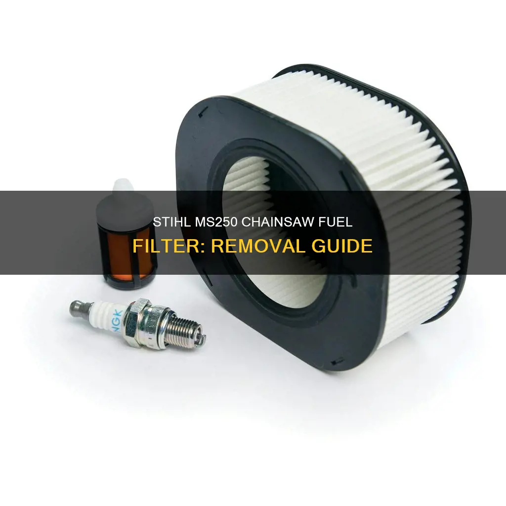 how to remove fuel filter on stihl chainsaw ms250