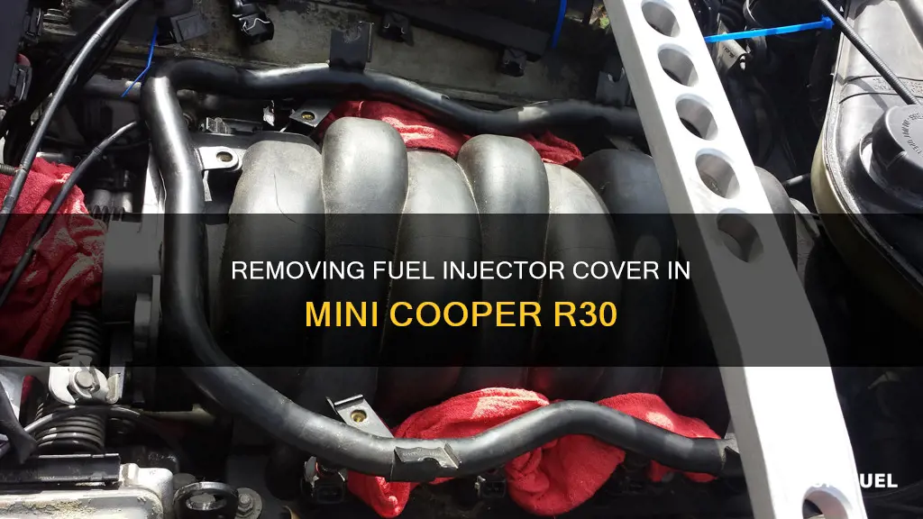 how to remove fuel injector cover mini cooper r30