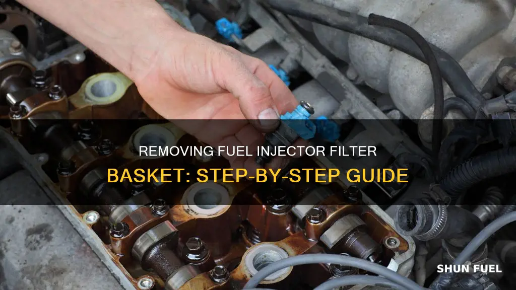 how to remove fuel injector filter basket