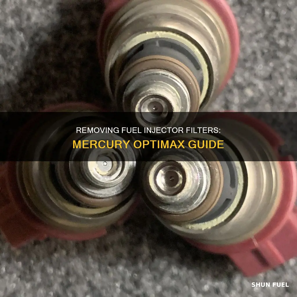 how to remove fuel injector filters on mercury optimax