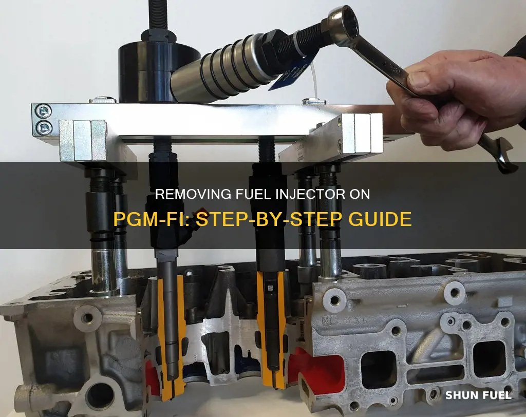 how to remove fuel injector on pgm fi