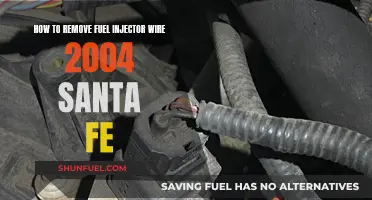 Removing Fuel Injector Wires in 2004 Santa Fe: A Guide