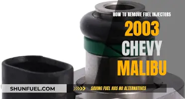 Removing Fuel Injectors from a 2003 Chevy Malibu