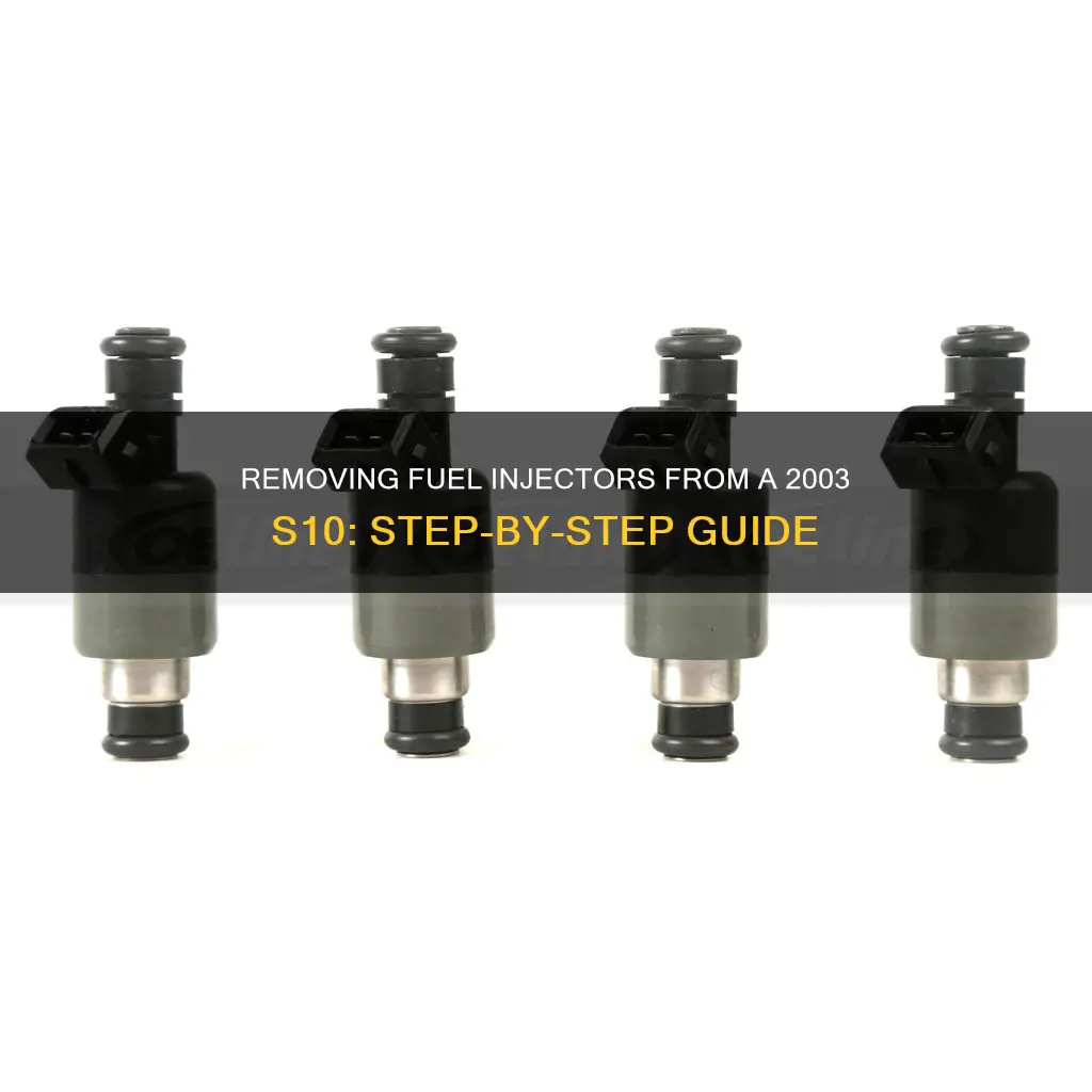 how to remove fuel injectors 2003 s10