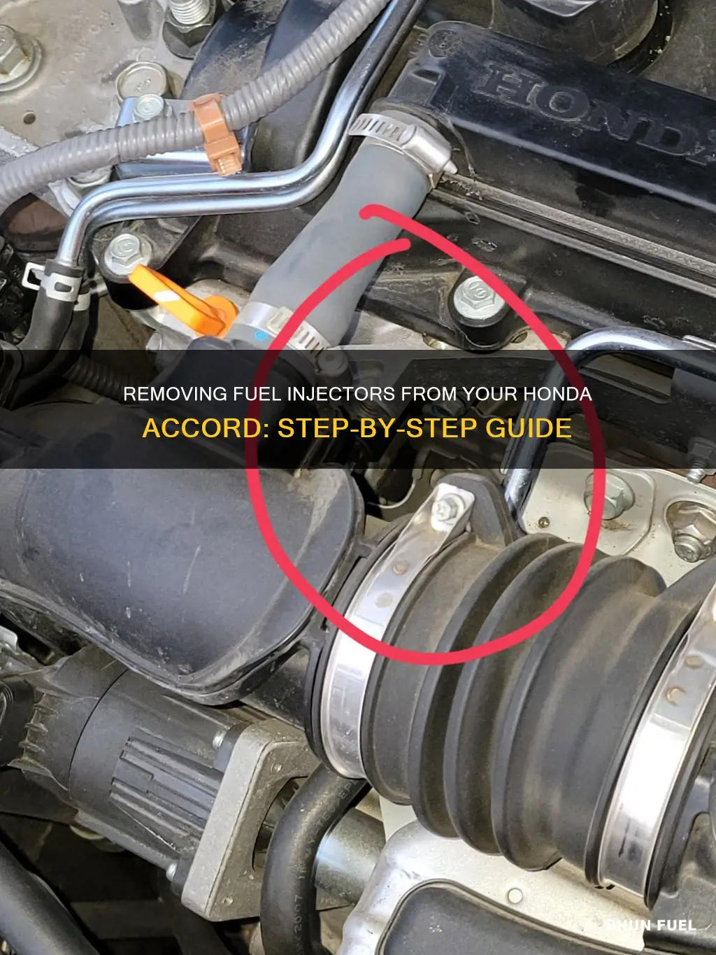 how to remove fuel injectors honda accord