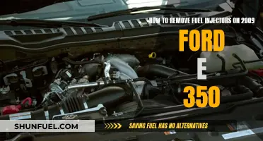 Removing Fuel Injectors: 2009 Ford E-350 Guide