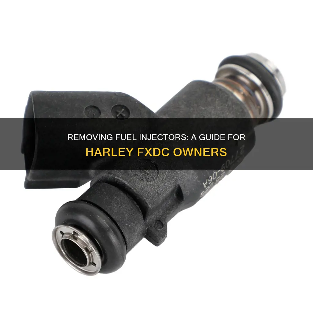 how to remove fuel injectors on harley fxdc