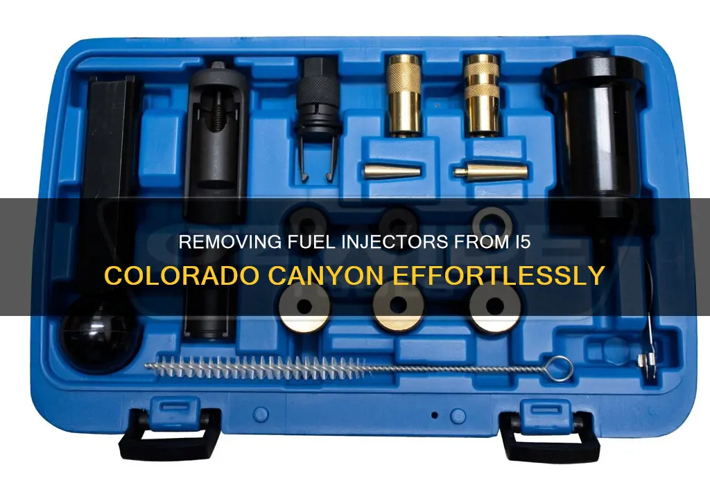 how to remove fuel injectors on i5 colorado canyon