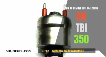 Removing Fuel Injectors: TBI 350 Guide