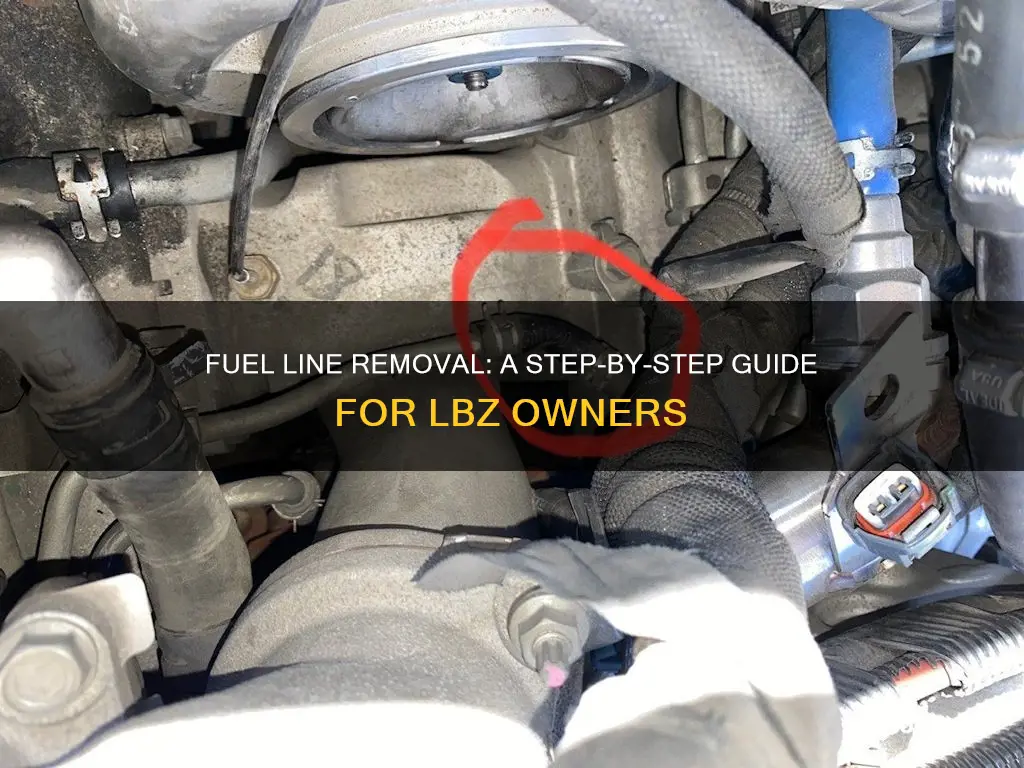 how to remove fuel line lbz