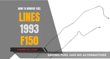 Removing Fuel Lines: 1993 F150 Guide