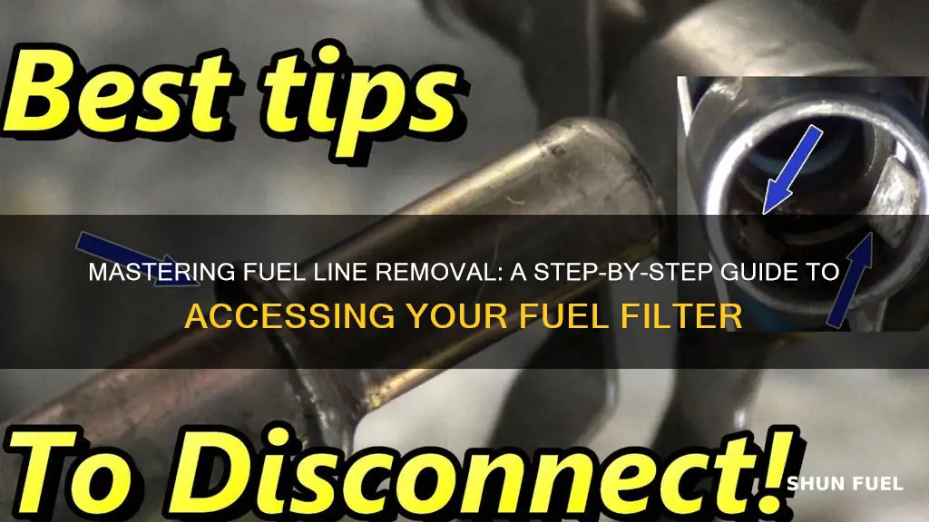 how to remove fuel lines from a fuel filter