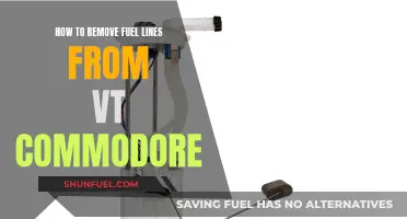 Removing Fuel Lines: VT Commodore Guide
