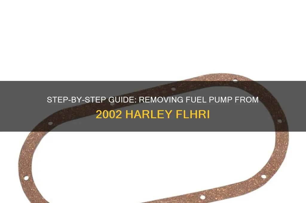 how to remove fuel pump 02 flhri