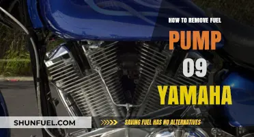 Step-by-Step Guide: Removing Fuel Pump on 2009 Yamaha Models