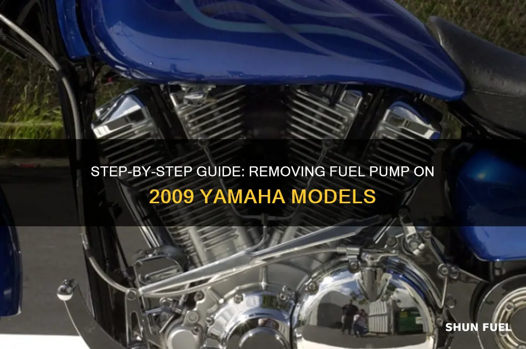 how to remove fuel pump 09 yamaha