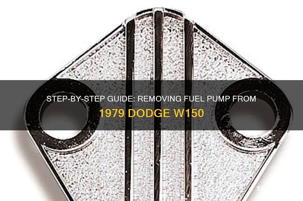 how to remove fuel pump 1979 w150
