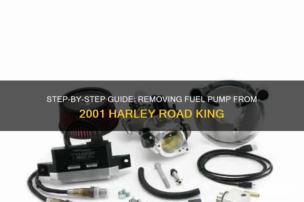 how to remove fuel pump 2001 road king