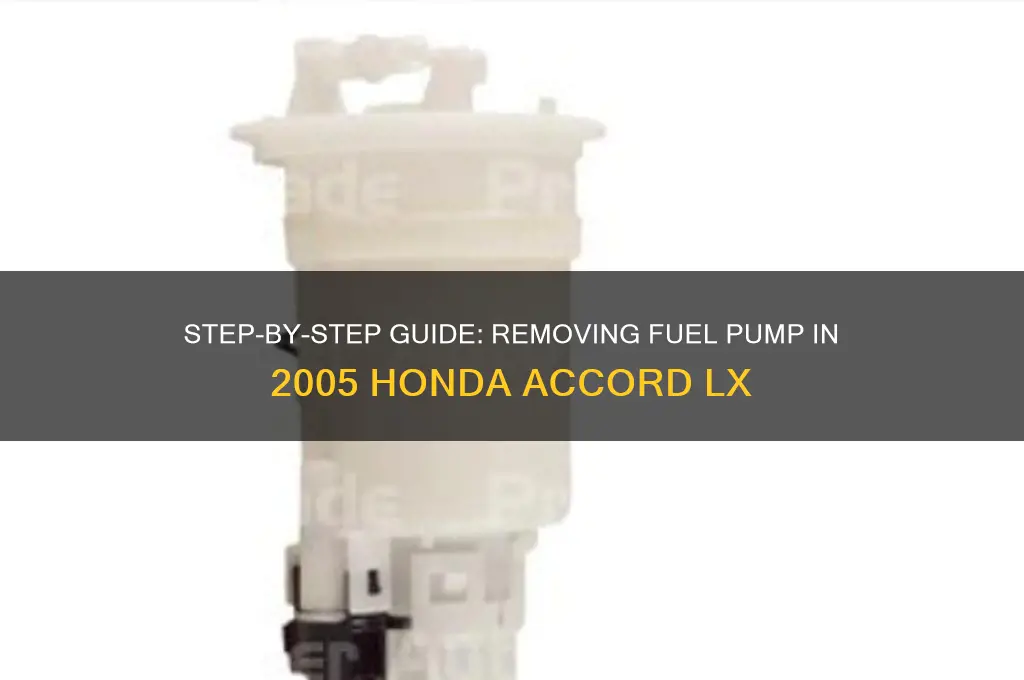 how to remove fuel pump 2005 accord lx