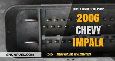 DIY Guide: Removing the Fuel Pump in a 2006 Chevy Impala